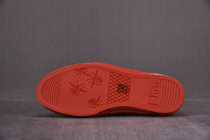 d10r b23 oblique low top sneaker