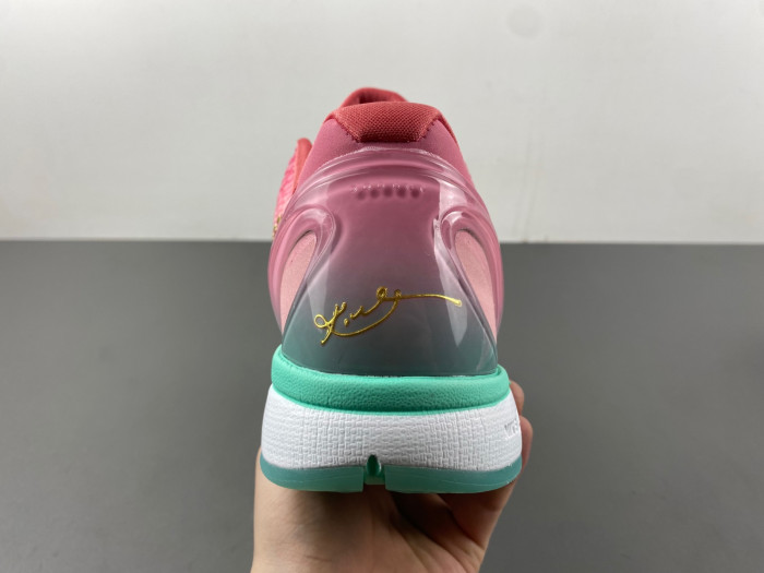 nike zoom kobe 6 cm2190-201