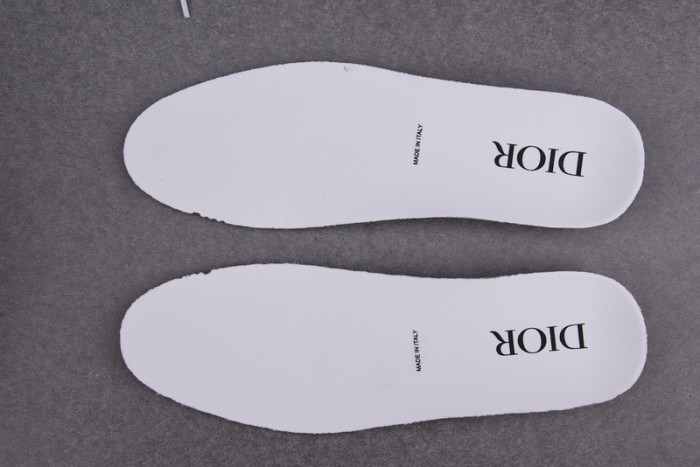 d10r b23 oblique low top sneaker